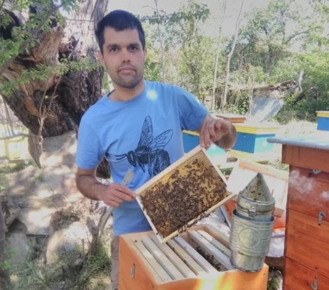 Diferentes usos de la miel – Bulgarian Treasures